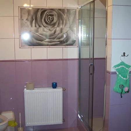 Rodzinne U Hani Apartamento Goszczyno